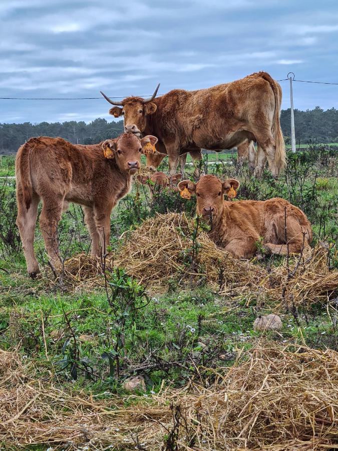 Herdade Da Vagem Rogil Zewnętrze zdjęcie